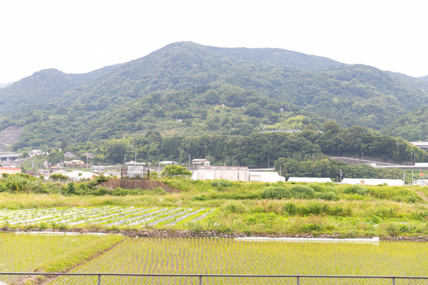 近隣風景